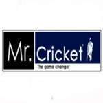 Mr.Cricket copy